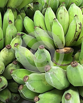 Green bunches of Bananas
