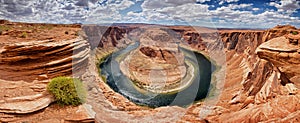 Green Bush On Horseshoe Bend