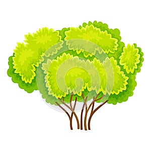 Green Bush or Shrub with Leafy Crown as Forest Element Vector Illustration