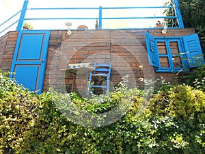 Green bush on a sunny day against wooden wall with decorative blue window, door and chair with table