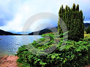 Green bushes in front of blue Lake Gerardmer