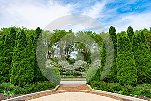 Green Bushes and Hedges at Grant Park in Chicago