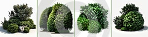 Green Bushes Set Isolated On White Background - Generative AI