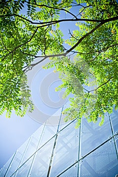 Green business office building