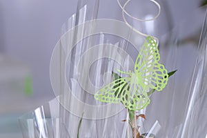 Green Buttefly Gift Decoration with transpaent cellophane