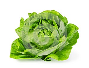 green butter lettuce