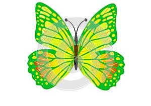 Green butterfly flying isolated on white background. Illustration design