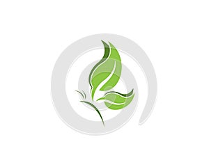 Green butterfly leaf logo design template