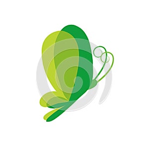 Green butterfly logo iocn photo