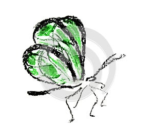 Green butterfly simple illustration