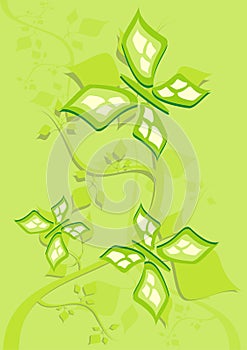 Green butterflyes