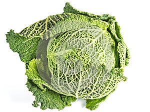 Cabagge Isolated on White