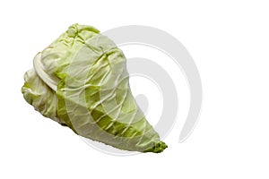 Green cabbage in another lineage