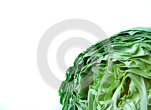 Green cabbage close-up isolated on white background