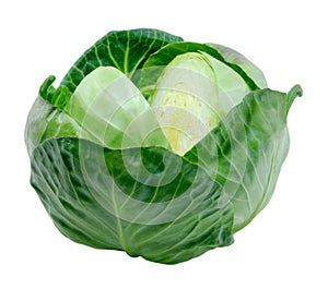 Green Cabbage isolated on white background