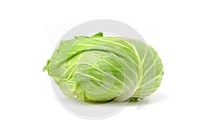 Green cabbage isolated on white background