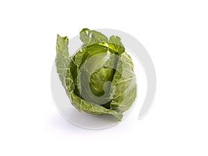 Green cabbage isolated on white
