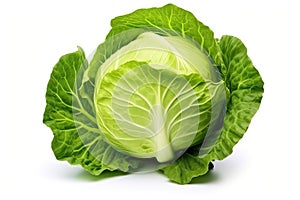 Green Cabbage Isolated On White Background