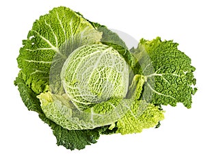 Green Cabbage Isolated on White
