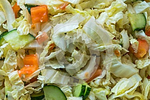 Green cabbage and tomato salad bowl