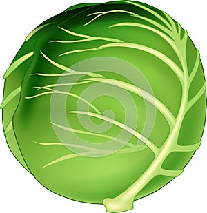 Green Cabbage Vegetable Icon Logo Cartoon Vector Illustration Isolated
