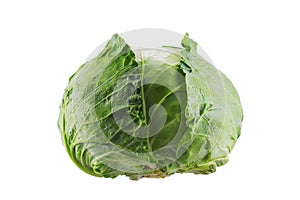 Green cabbage vegetable isolated on white background