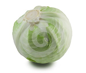 Green cabbage on white
