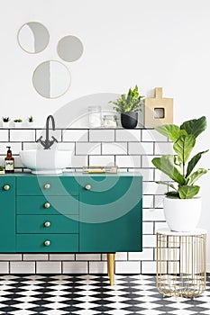 Green cabinet next to plant on gold table in modern bathroom interior with mirrors. Real photo