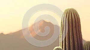 Green Cacti with Ribbed Patterns and White Spines Against Soft Green Backdrop ai generated