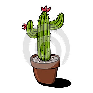 Green cactus on brown clay pot illustration