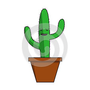 Green cactus in brown pot