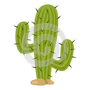 Green Cactus Flat Icon Isolated on White