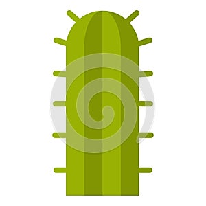 Green cactus plant icon isolated