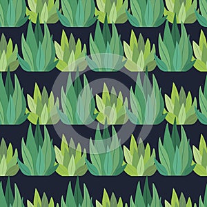 Green cactus plant vector illustration photo