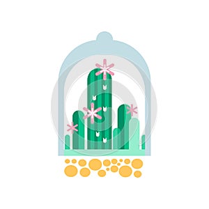 Green cactus plants with pink flowers under transparent dome. Flat vector icon of home succulents in glass florarium