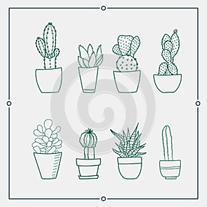 Green cactus in a pot vector illustrations.