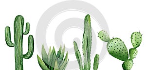 Green cactus set. Saguaro cactus. Aloe vera plant. Greenery. Watercolour illustration isolated on white background.