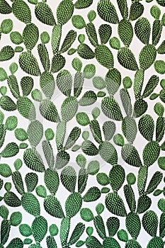 Green cactus surface. Use for texture or background