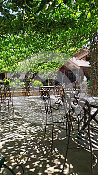 green cafe in the open-air park