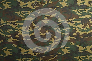Green Camouflage pattern photo
