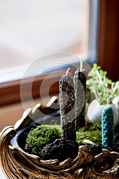 Green candles and moss in a gold bowl by the window