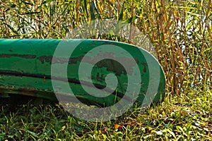 Green canoe boat on a sunny morning at protected natural swamp area of Carska bara