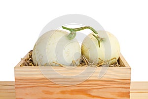 Green cantaloupe melon in wood box