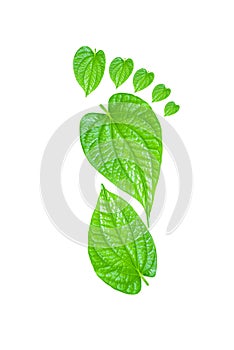 Green Carbon Foot Print Concept