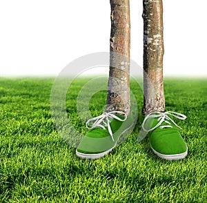 Green carbon footprint concept