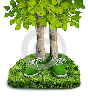 Zelený uhlík stopa 