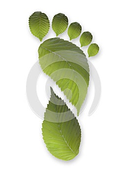 Green Carbon Leaf Footprint photo