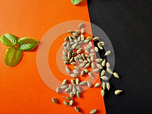 Green cardamom or elachi photo