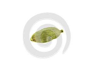 Green cardamom pod isolated on white background with copy space for text or images. Spices, food, cooking concept. Close