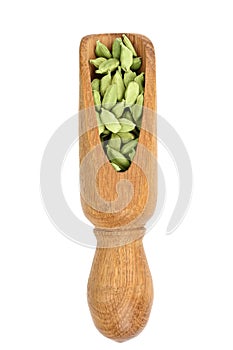 Green cardamom seeds in wooden scoop isolated on white background. Top view. lay flat